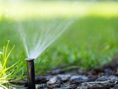 Centraline per irrigazione: quale tipo scegliere? 